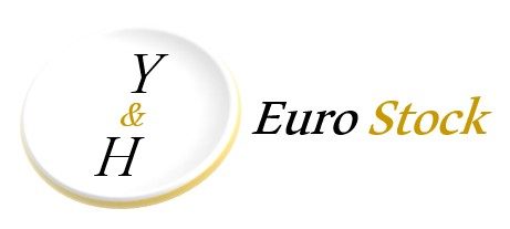 H&Y Euro Stock